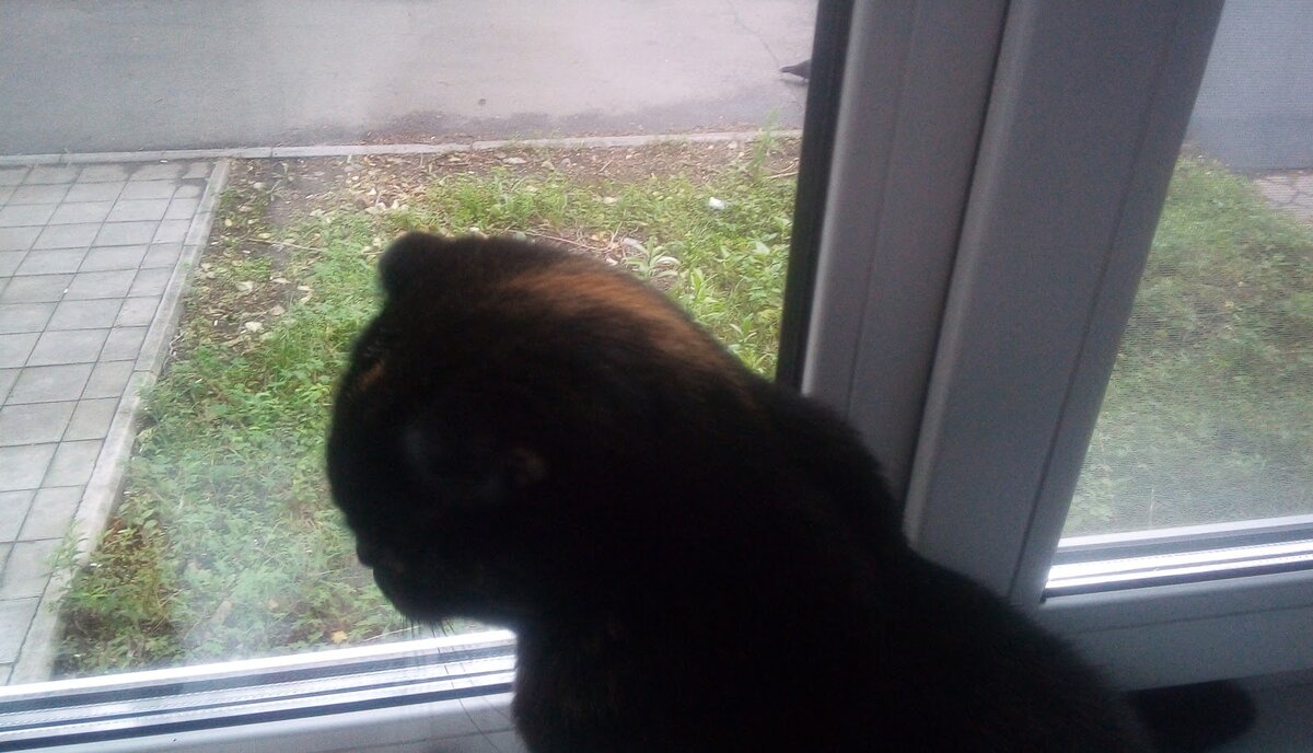 Мы с Мусей торчим возле окна