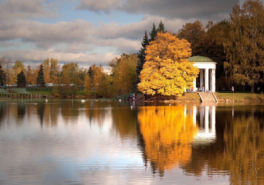 Фотография из открытых источников интернета. 