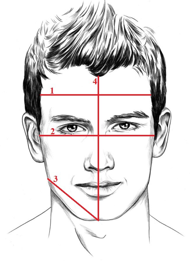 Как нарисовать мужские скулы