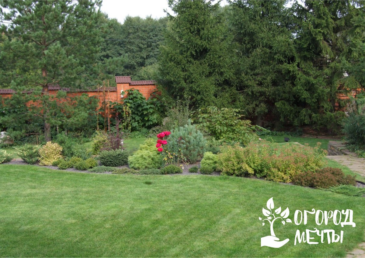 ландшафт дорожки. ландшафт дорожки. ландшафт участка. эндрю дафф ландшафтный дизайнер. можно ли расширить участок.