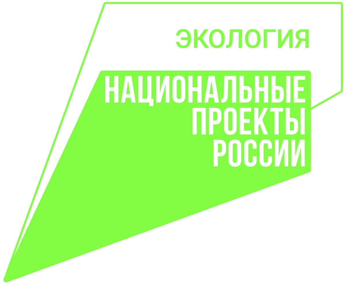 Реализация национального проекта «Экология» в Чувашии: в лесу хорошо, а «Волга» и «Чистая страна» требуют контроля