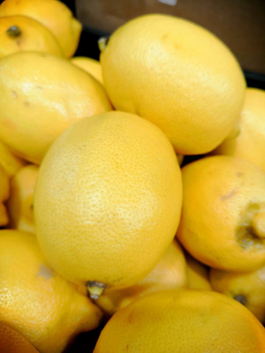 Лимон. Фото из личной галереи 