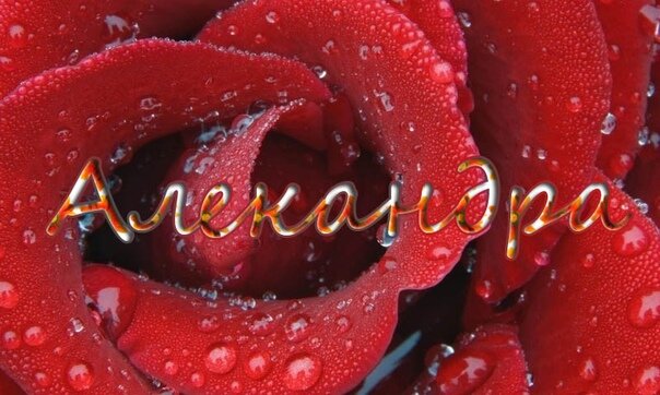 Фото взято в сети интернет