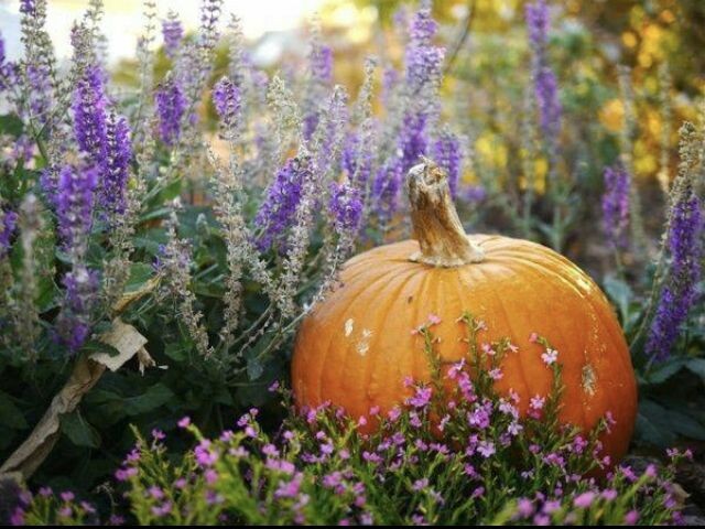 источник: интернет