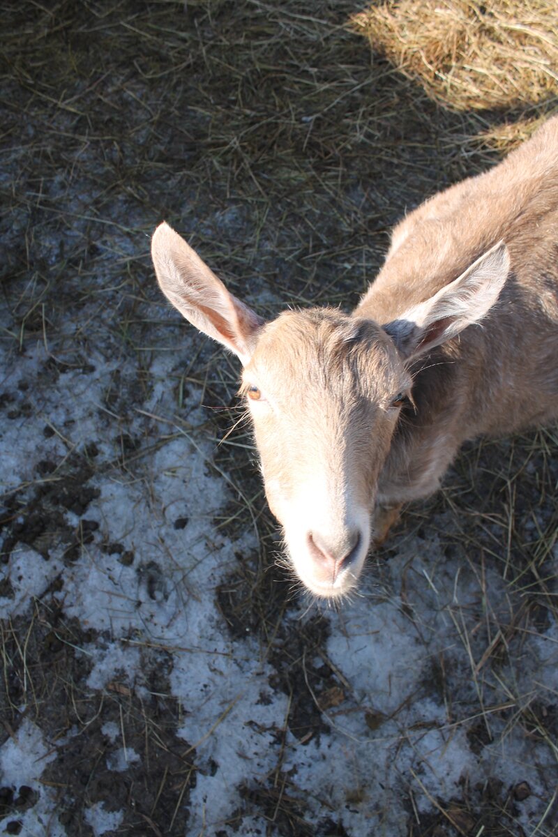 И как я вам? Смотрюся нормально?