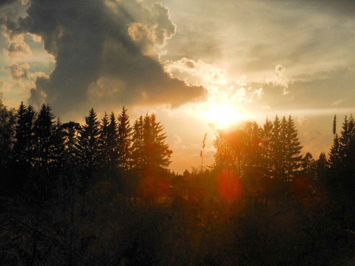 Картинка, взятая из интернета. 