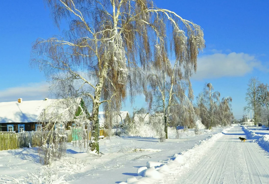 Снег в волхове сегодня фото