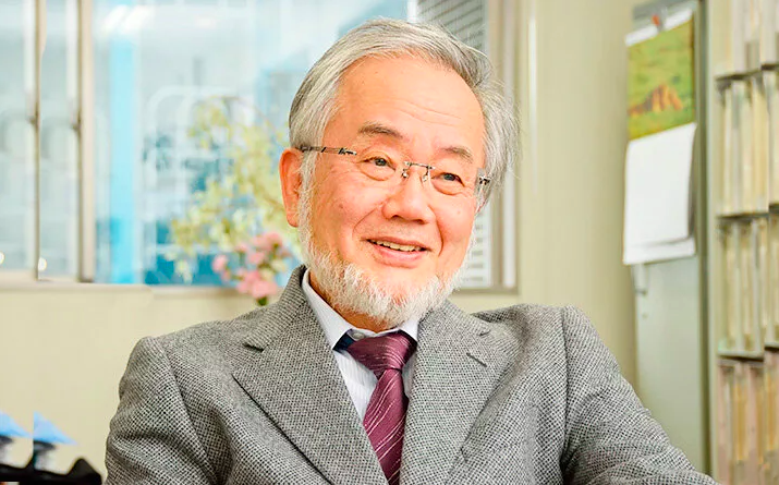 Ёсинори Осуми. Нобелевский лауреат в области физиологии и медицины 2016.