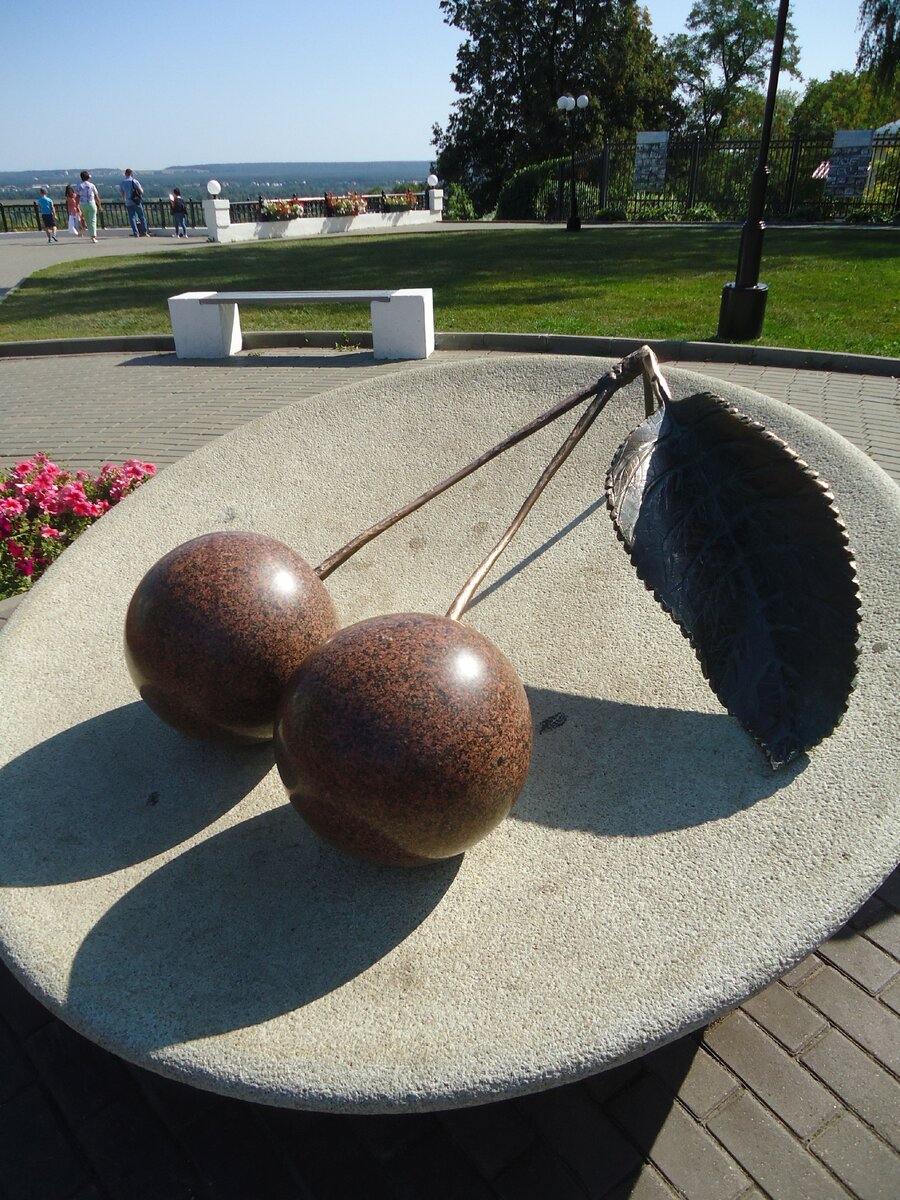 Памятник владимирской вишне