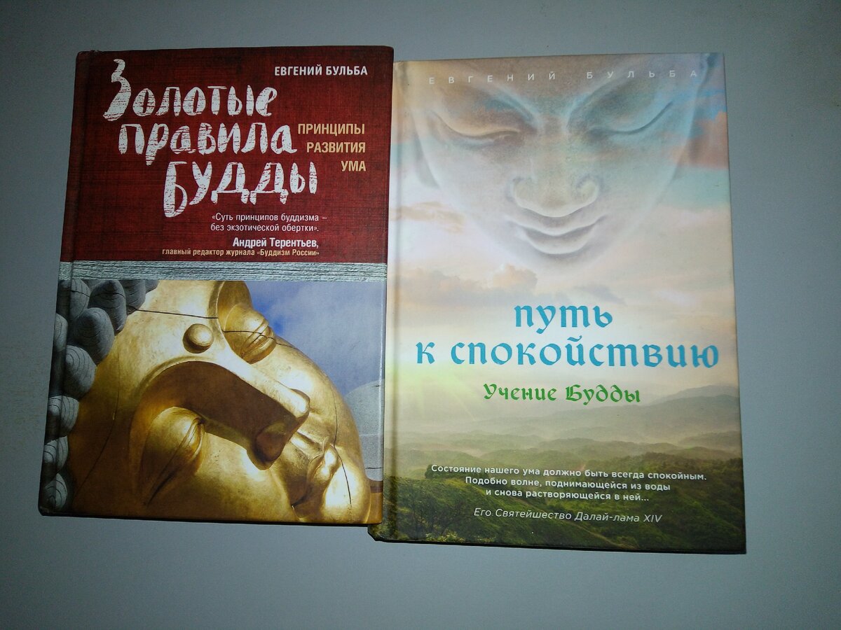 Книги Евгения Бульбы