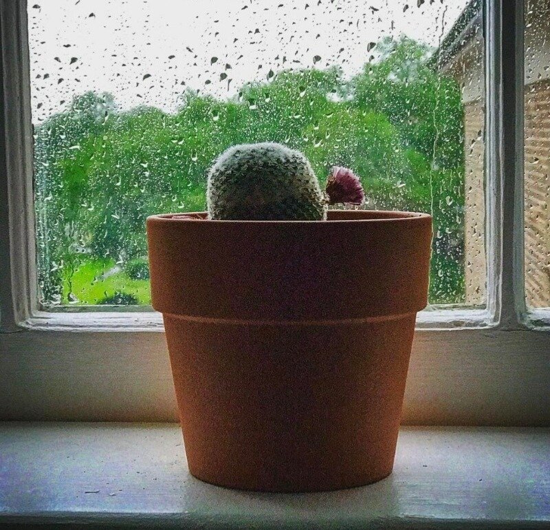 Источник фото: https://www.instagram.com/p/BTpJvAgjb3d/