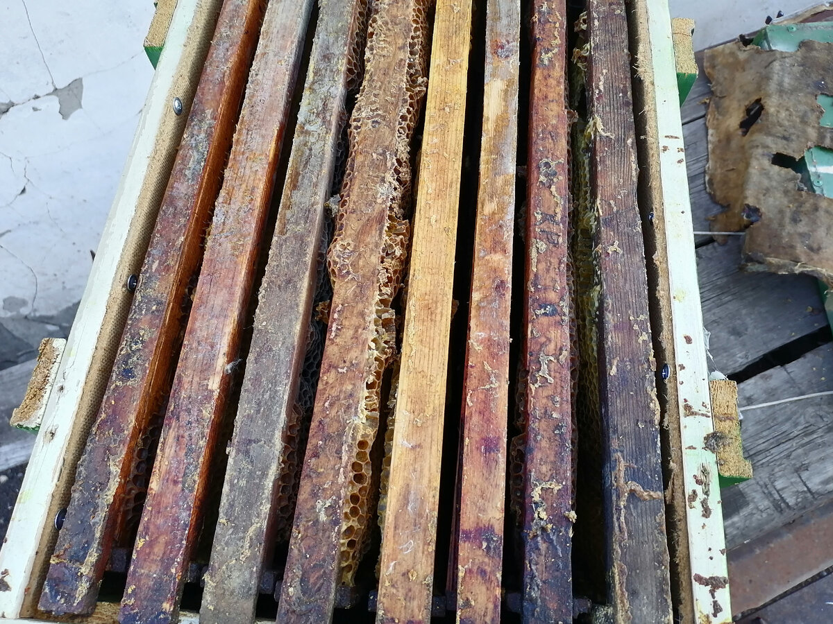 Вместимость - 8 рамок. Фото автора.