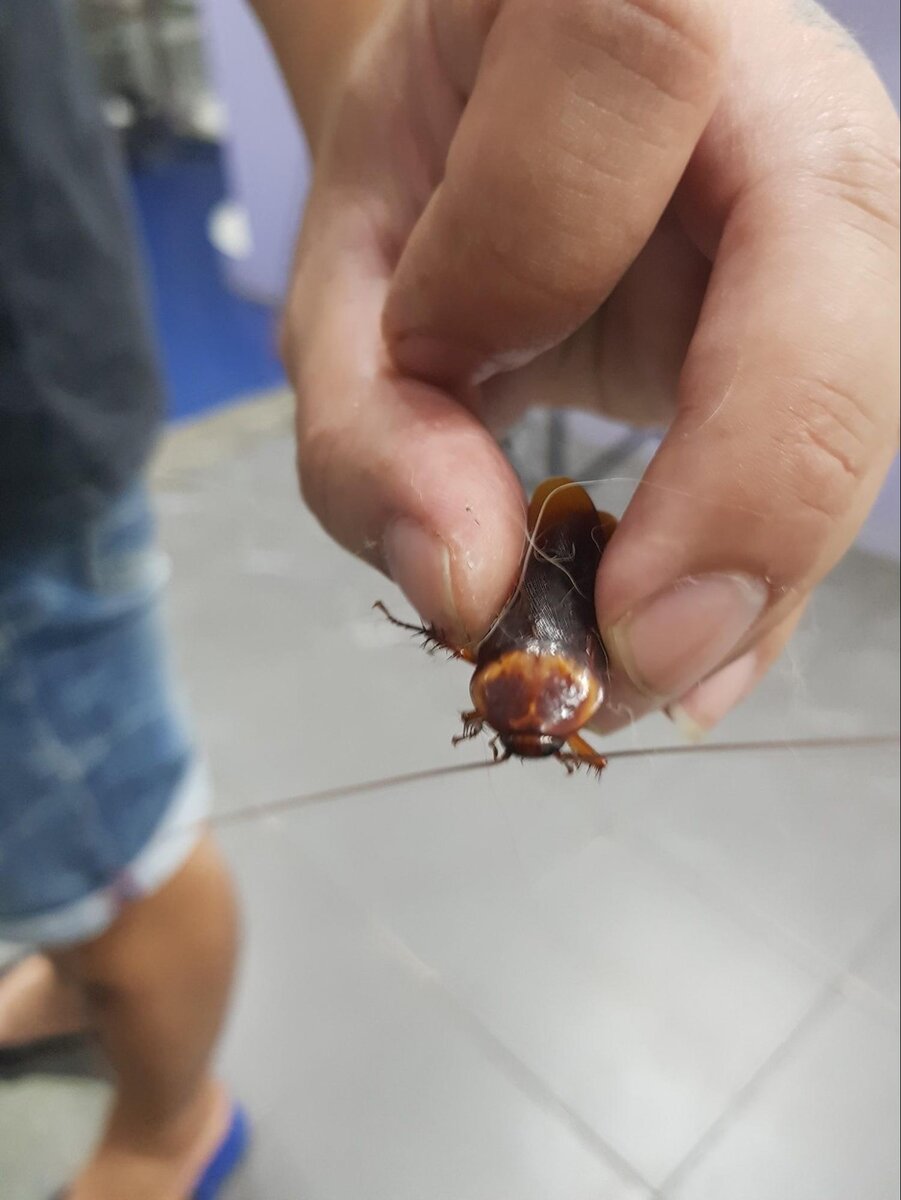 Эээээааах