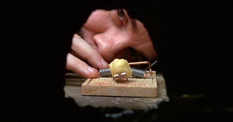 Охота на мышку читать. Кристофер уокен мышиная охота. Охота на мышей. Охота на мышку читать. Кот и мыши.