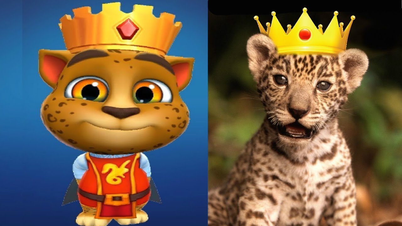 Мой говорящий Том 2 в реальной жизни My Talking Tom 2 in Real Life #Том_2  #Том