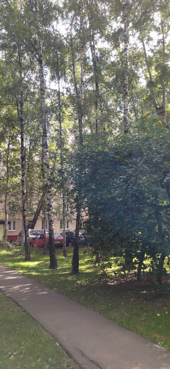 Московский двор. Прогулка моя. Фото моë. 