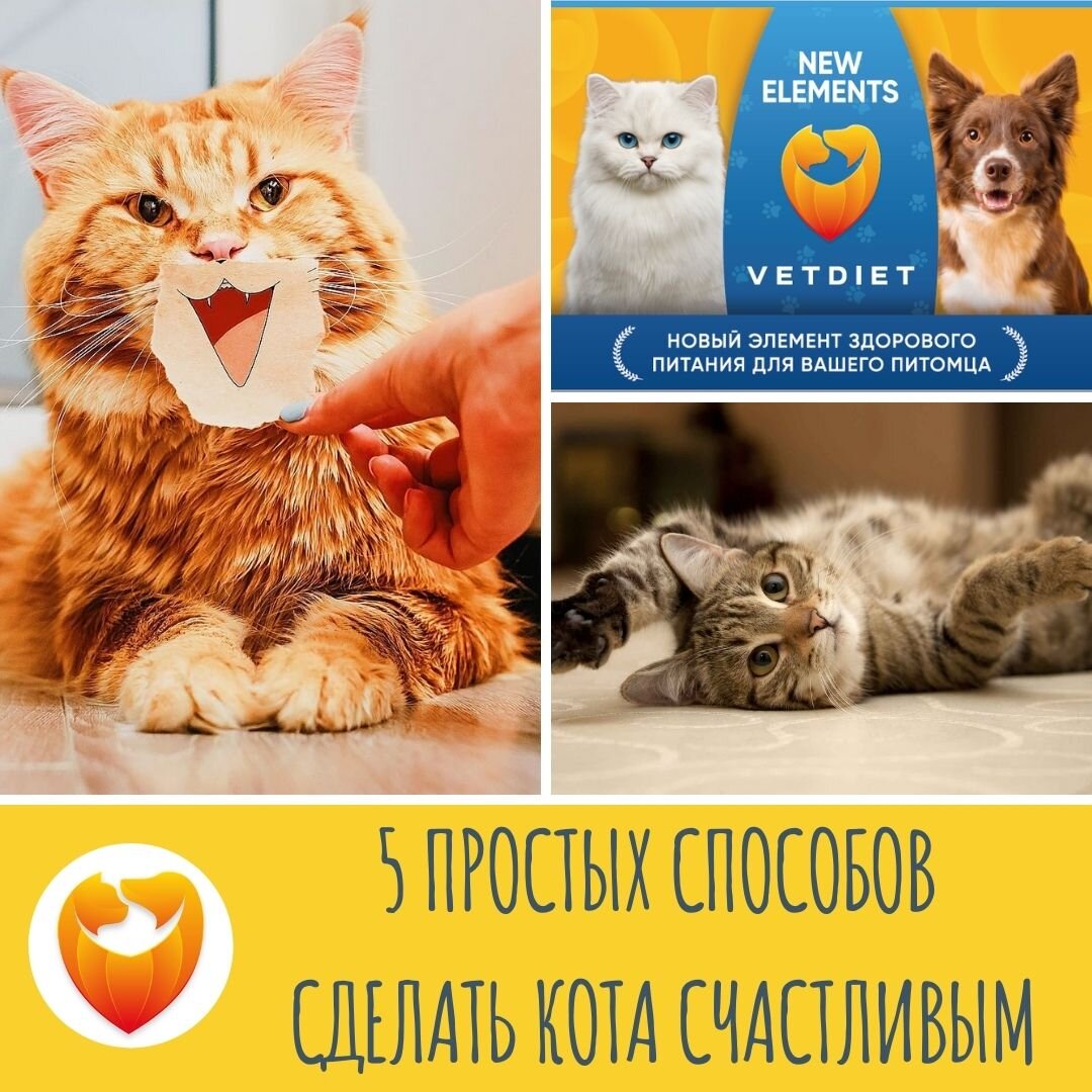 Подпишись на наш канал и получай полезную информацию ежедневно!