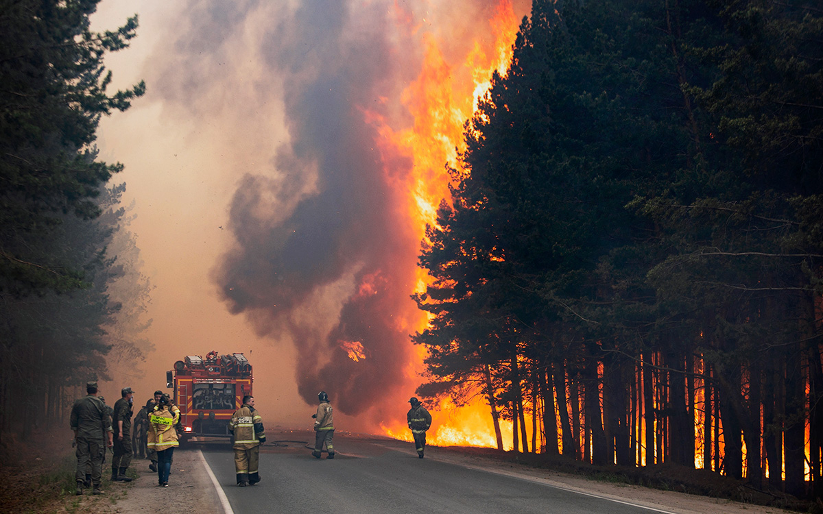 Фото с сайта: rbc.ru