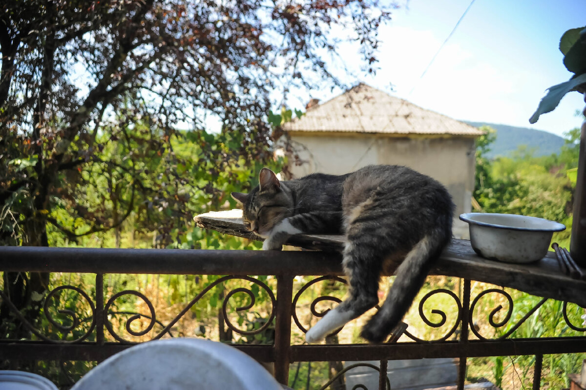 #абхазия #туризм #путешествия 