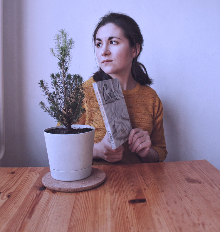 Яндекс картинки