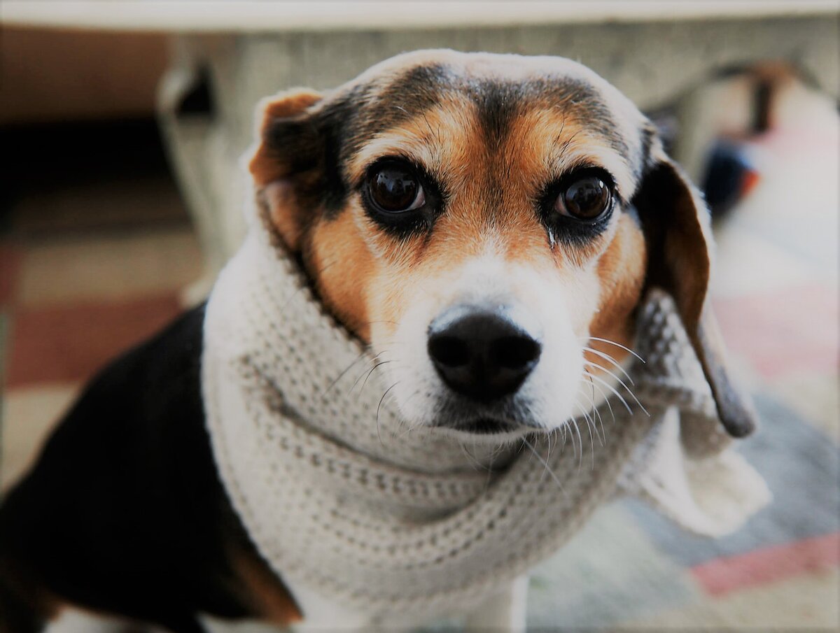 Не игнорируйте этот важный симптом