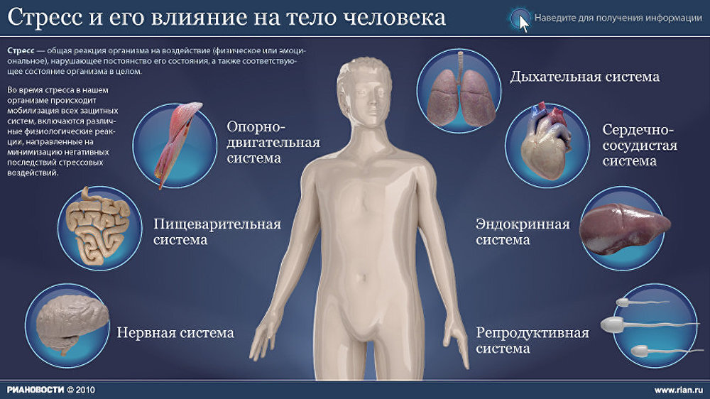 Стресс патология презентация