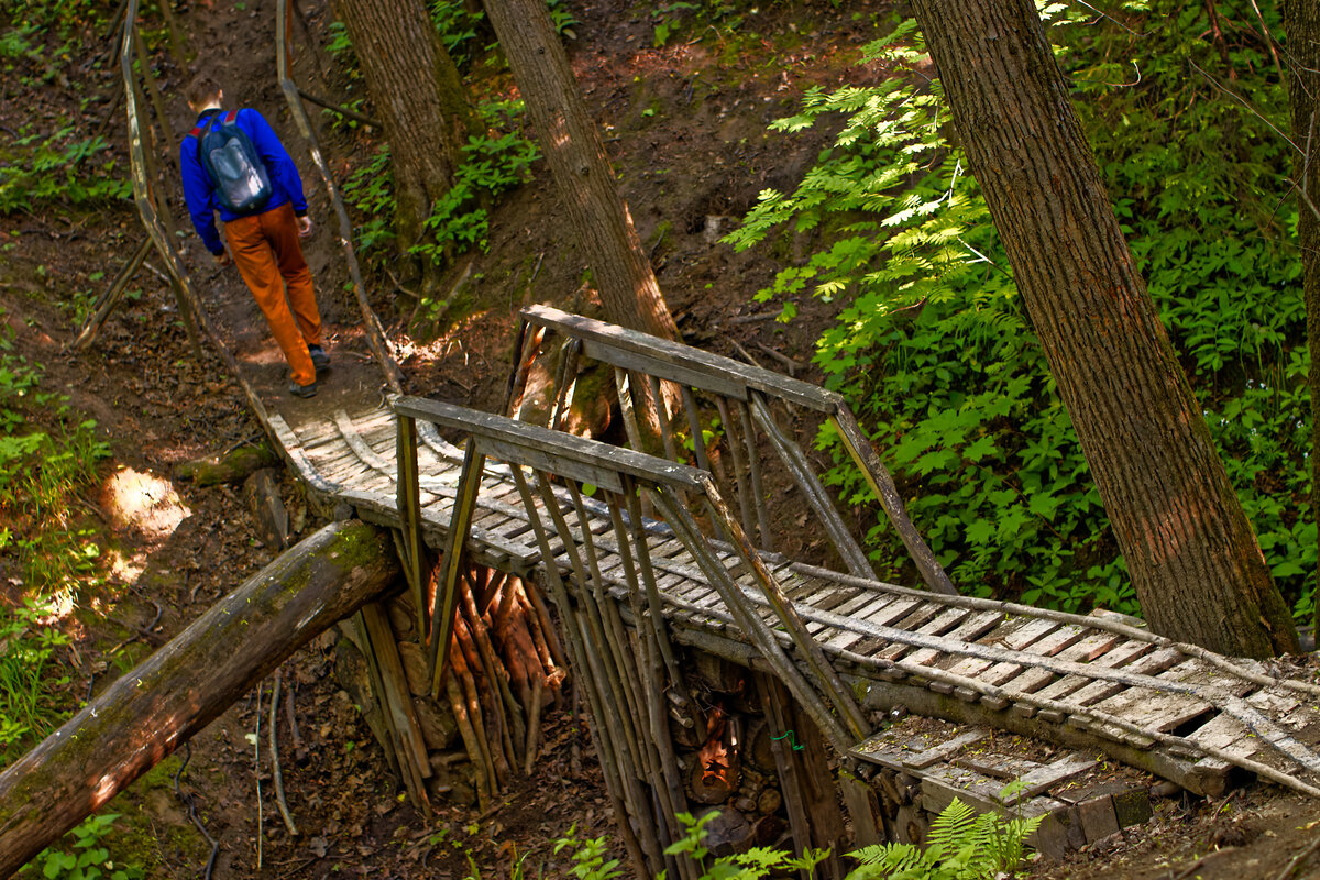 Охота за артефактами в Битцевском лесу | Евгений Маслак | Дзен