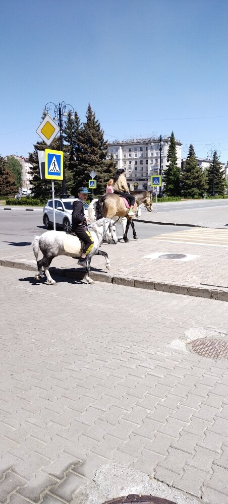 Наездники на лошадях напротив Нижнетагильского драматического театра им. Д.Н. Мамина-Сибиряка 