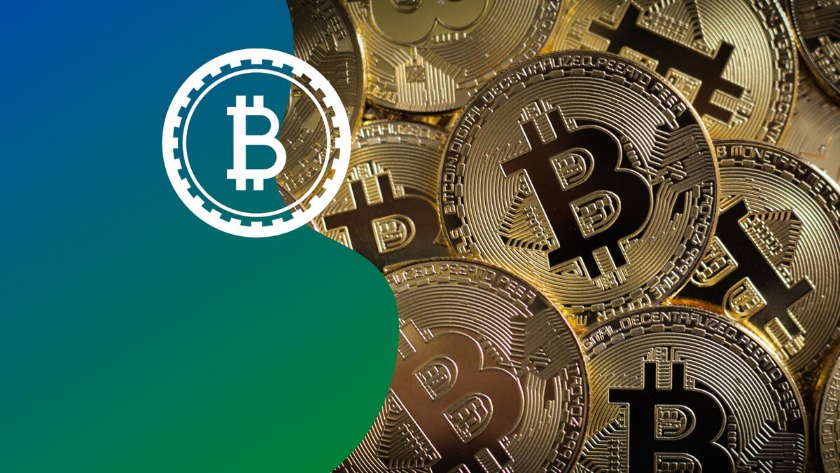 Коллаж: Медиацентр УрФУ.