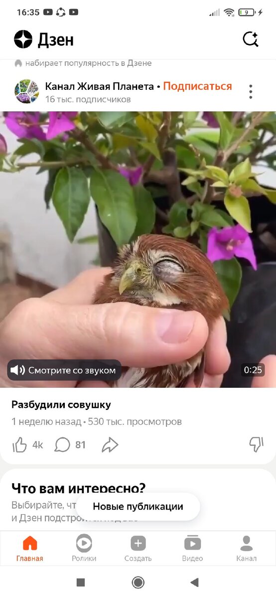 Пример типичной статьи.