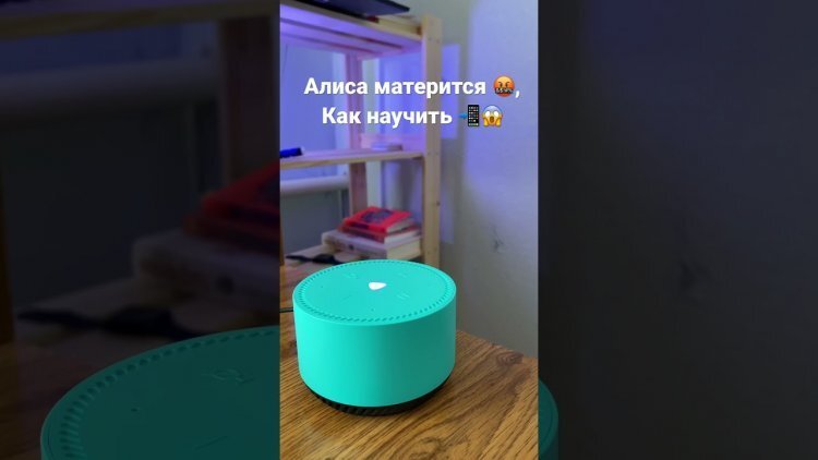 Как научить Алису от Яндекса ругаться матом | AndroidInsider.ru | Дзен