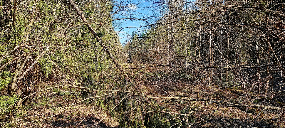 Фото автора канала