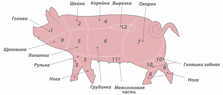 Свободно это какая часть. Рулька свиная схема разделки. Щековина свиная часть туши. Корейка свиная часть туши. Голяшка свиная схема разделки.