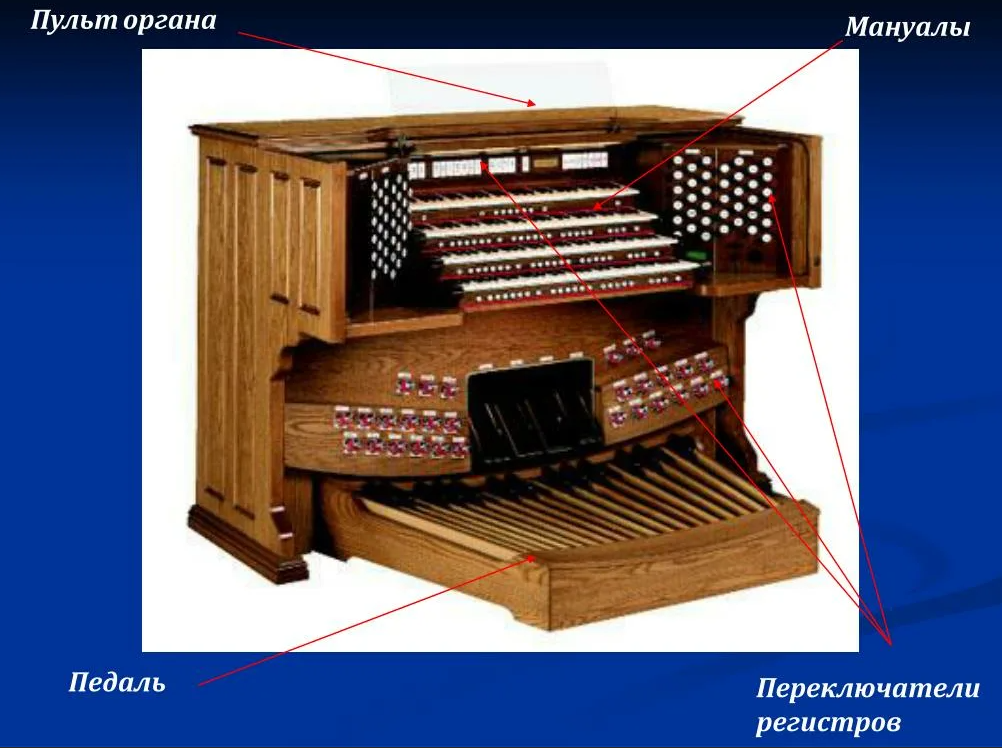 Сбор органа. Устройство органа. Строение органа инструмента. Строение музыкального органа. Орган инструмент древность.