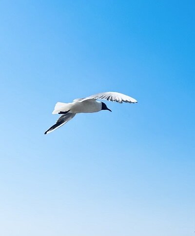 Фото из личного архива (Выборг`2022)