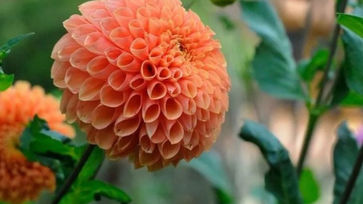 -1-3