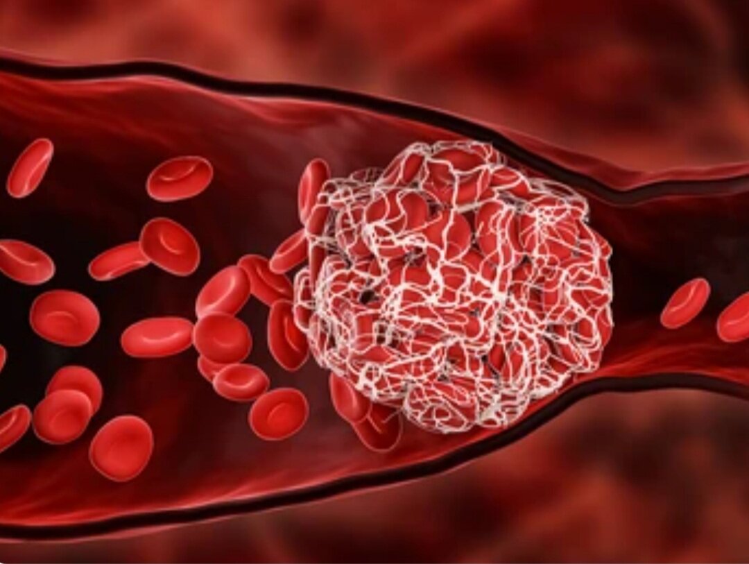 Фото Shutterstock. com