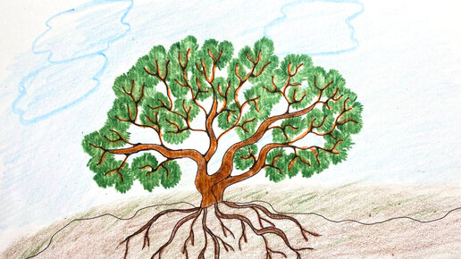 Как нарисовать Дерево СОСНА/ Простые рисунки из простых линий | Хочу  рисовать | Дзен