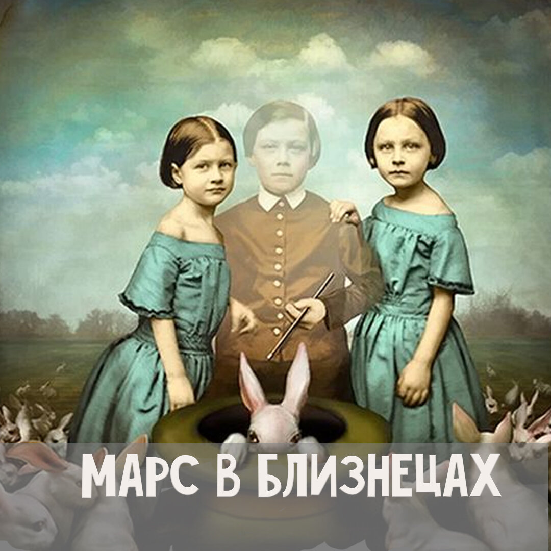 20 августа близнецы