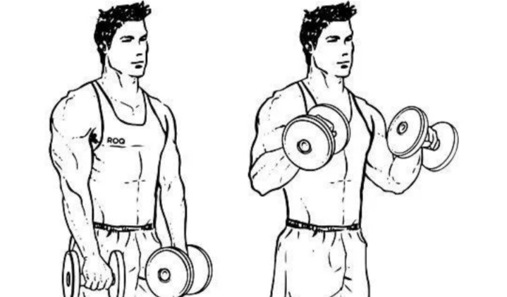 Обратное сгибание на бицепс. Поднятие штанги на бицепс обратным хватом. Подъем на бицепс прямым хватом. Подъем штанги обратным хватом стоя. Подъем штанги на бицепс прямым хватом.