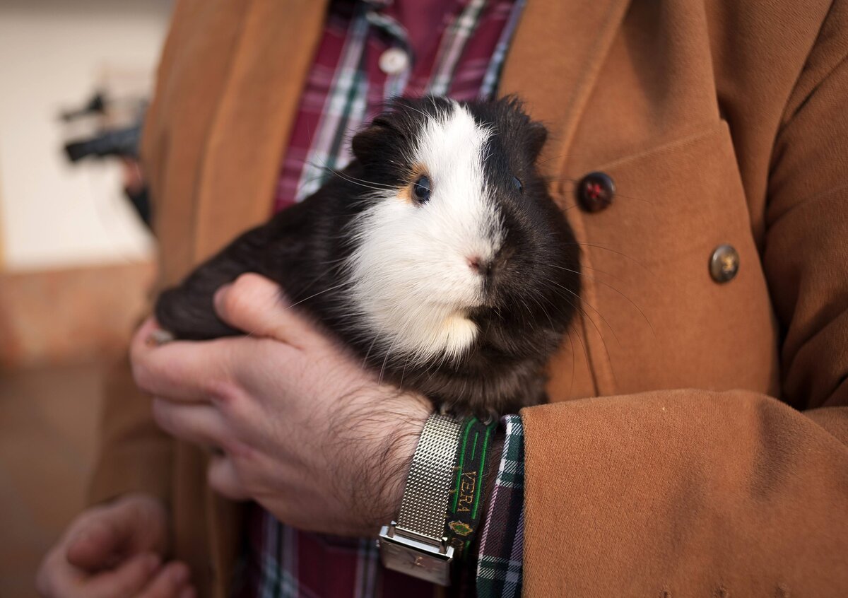   Фото: Legion-Media