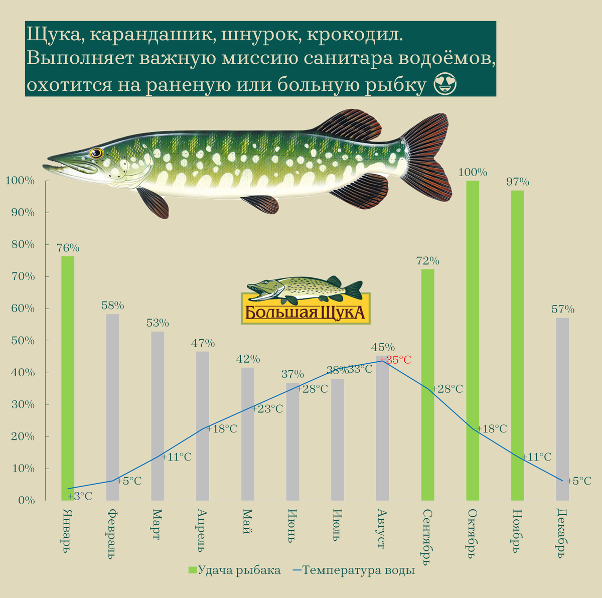 Афиша щуки на завтра. Календарь щуки. Скорость щуки.