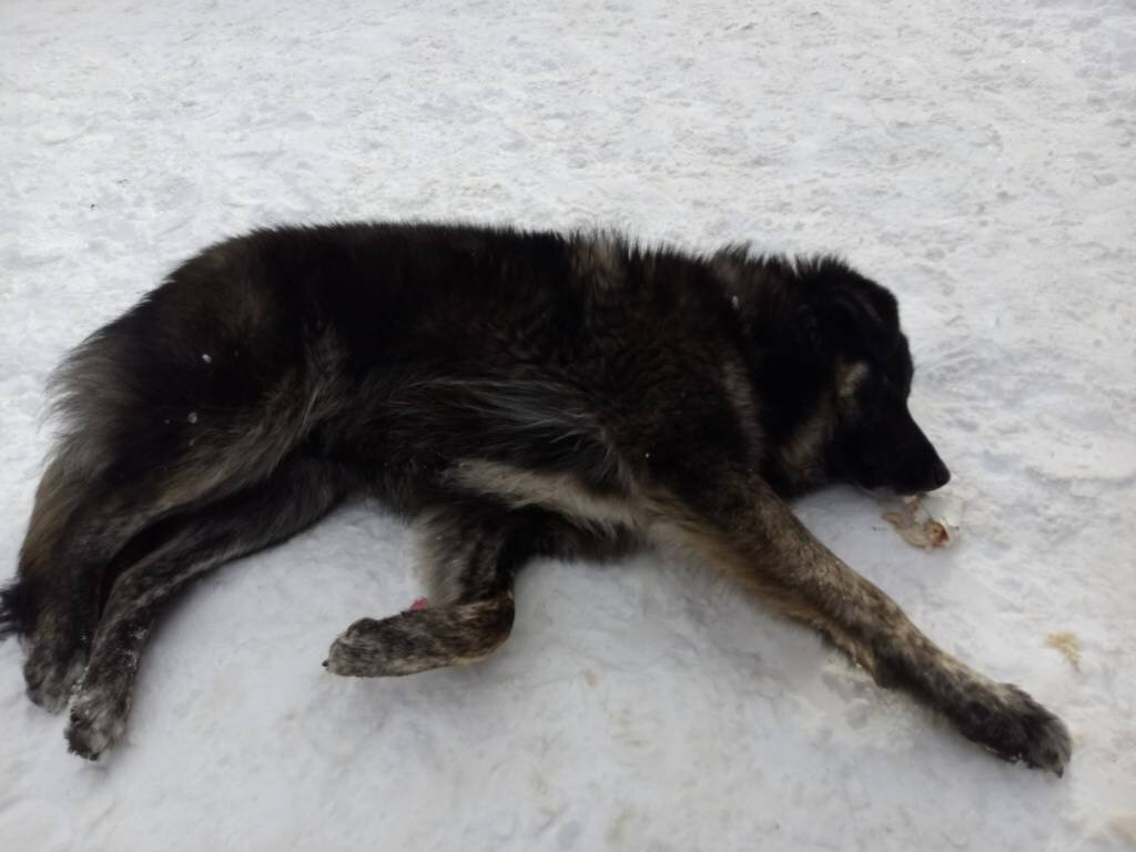 фото из интернета