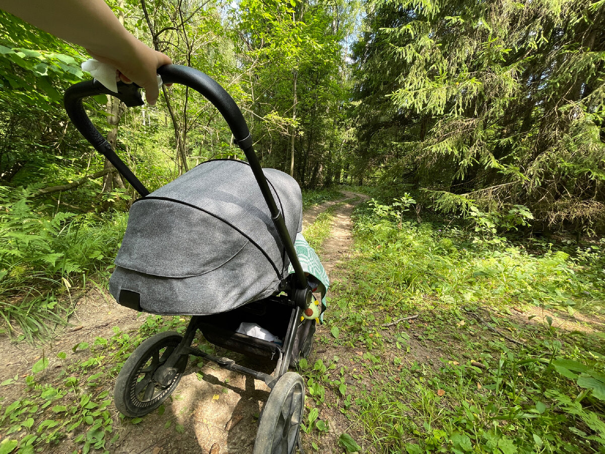 Мы с Аннушкой любили прогуляться по лесу, а теперь и просто из дома выйти боязно.