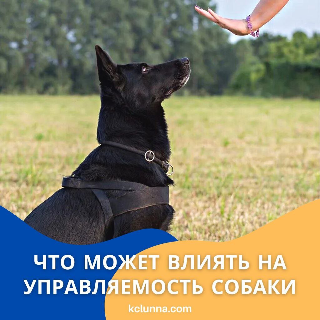 Принцип вариативного подкрепления