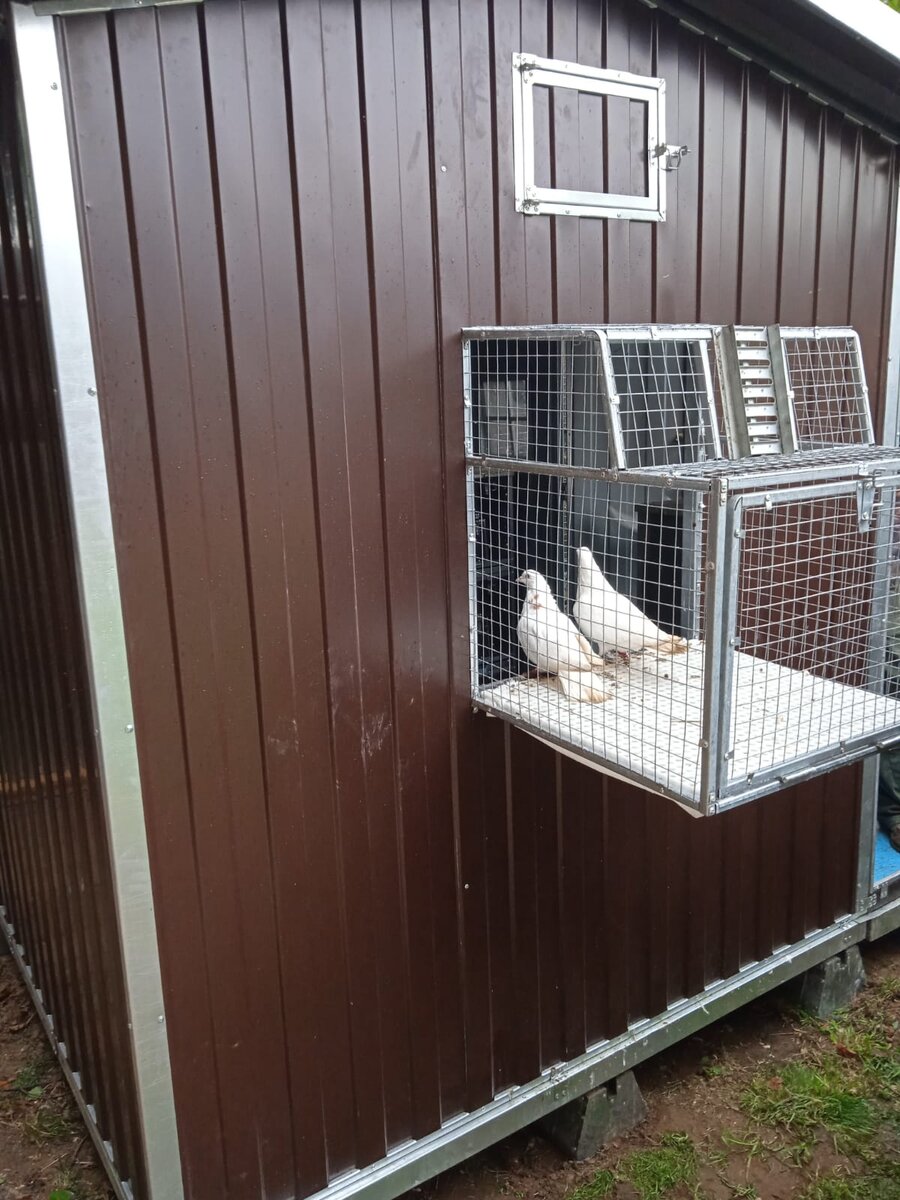 Прилеты для птицы и гнезда