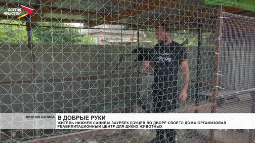 Заурбек Дзуцев во дворе своего дома организовал реабилитационный центр для диких животных