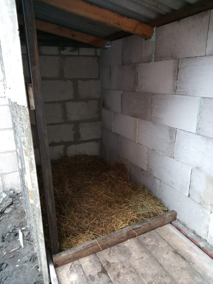 Такое уютное помещение получилось