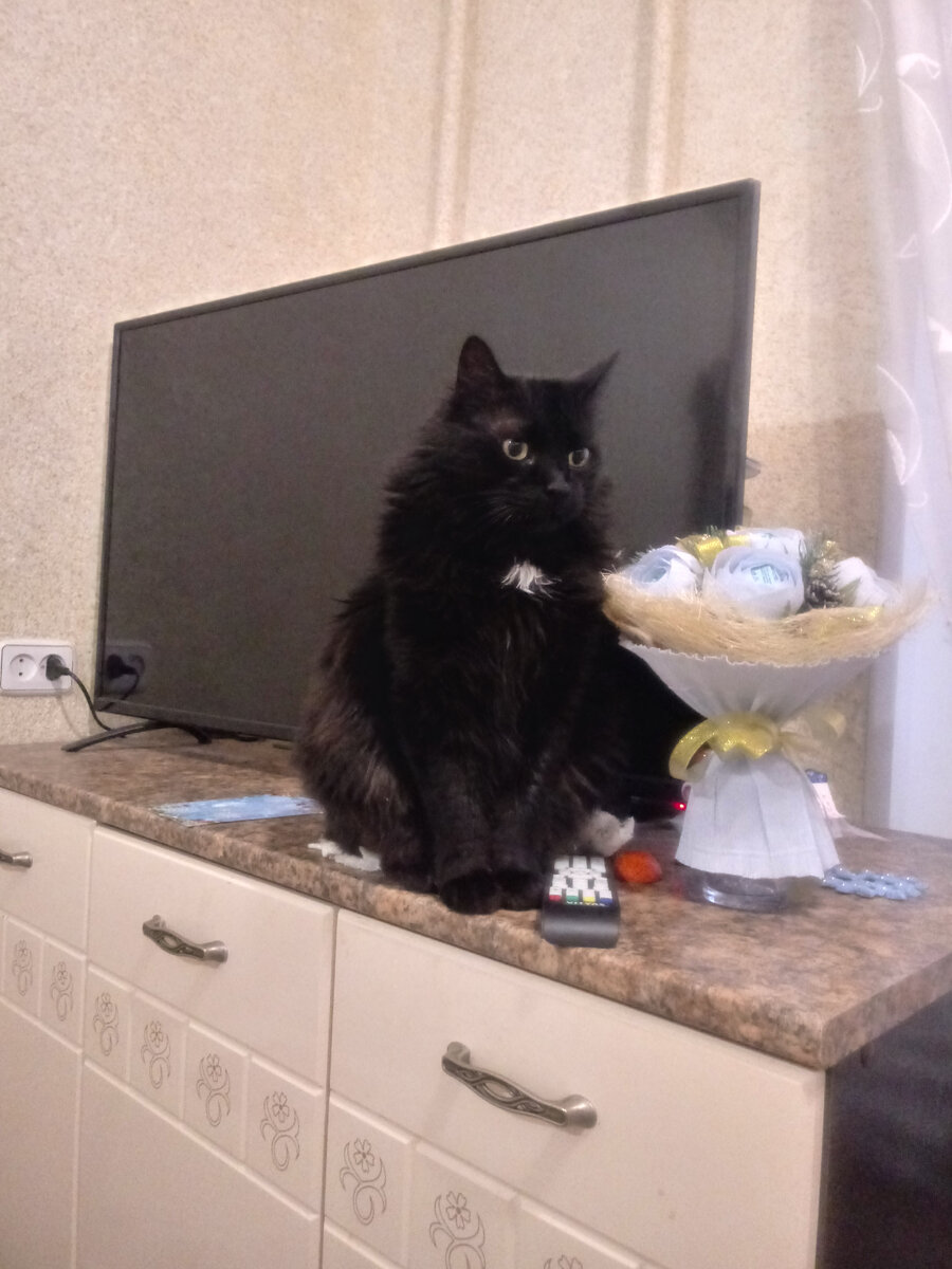 Наш Федя сливается с кухонным телевизором. 