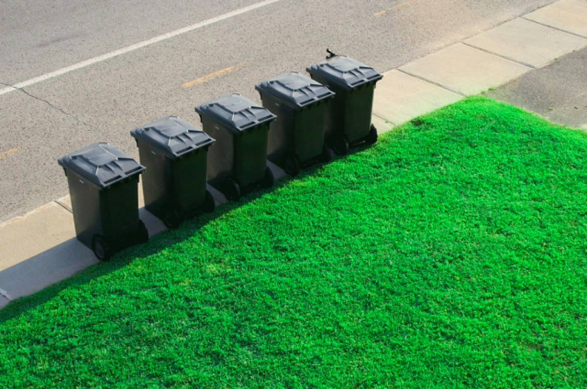    Общегородской субботник проведут в Ставрополе восьмого октября